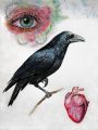 LE CORBEAU: - Dessins études, travaux sur papier: